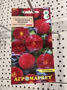Маргаритка помпонная Красная, 0,05г Агромаркет