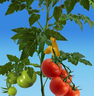 Подвес для растений 10 шт. Лиана