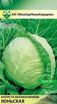 Капуста Июньская б/к 0,5г МинскСортСемОвощ