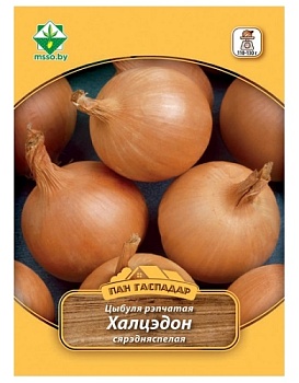 Лук Халцедон 4г (Пан Гаспадар) МинскСортСемОвощ