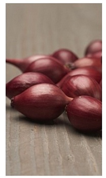 Лук севок Ред Барон (10-21мм) 0.5кг МинскСортСемОвощ