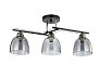 Светильник потолочный НПБ 02-3x60-101 черный/хром Aitin-Pro 6098/3