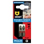 Бита Torsion PH2x25 мм ( 2 шт.), GRAFF