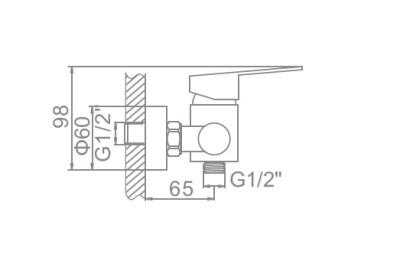 Смеситель для душа L72003 LEDEME