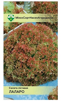 Салат Лоллоро листовой 0.8г МинскСортСемОвощ