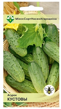 Огурец Кустовой 0.6г МинскСортСемОвощ