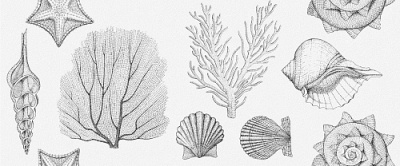 Плитка облицовочная Aqua White Wall 01 250х600мм Gracia Ceramica