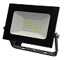 Прожектор светодиодный 20W, 6500К, черный, 13020, Truenergy