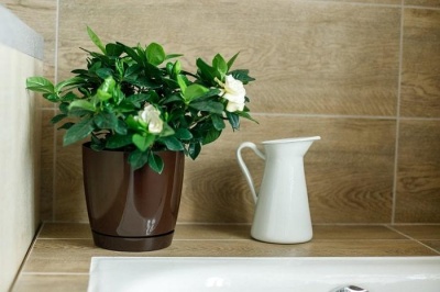 Горшок для цветов пластмассовый 3 л шоколад Фрезия 2 GARDENPLAST