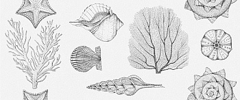 Плитка облицовочная Aqua White Wall 01 250х600мм Gracia Ceramica