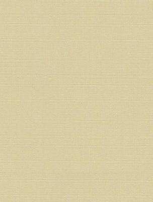 Штора рулонная СРШ-01МЭ-2875 Мини Эконом Delfa Штора рулонная СРШ-01МЭ-2875 Мини Эконом Delfa