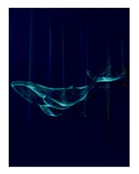 Занавеска для ванны 180х200см Phantom, без колец, Tropikhome