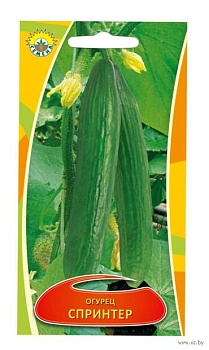 Огурцы Спринтер ИП СЕМЕНА