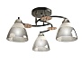Светильник потолочный Aitin-Pro НПБ 02-3x60-101 / 8245/3 черный/хром