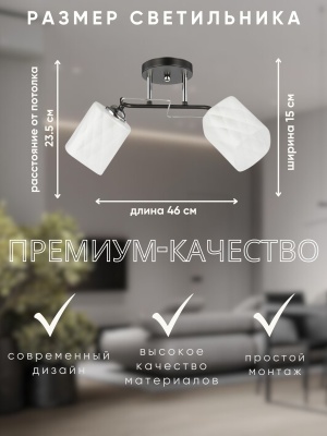 Светильник НПБ 02-2x60-101 6200/2 черный/хром Айтин-Про