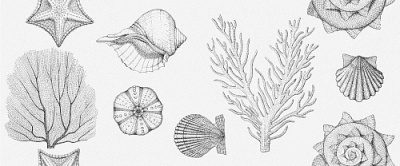 Плитка облицовочная Aqua White Wall 01 250х600мм Gracia Ceramica