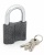 Замок навесной 601S-60 Palladium Замок навесной 601S-60 Palladium