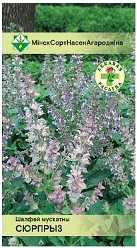 Шалфей мускатный Сюрприз 0.2г МинскСортСемОвощ