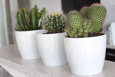 Кашпо для цветов пластмассовое белое 18,5x21 см Magnolia LA204-05 Lamela