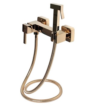 Смеситель с гигиеническим душем Ledeme L5398G-7