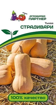 Тыква СТРАДИВАРИ 10шт Агрофирма Партнер