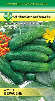 Огурец Верасень 0.6г МинскСортСемОвощ