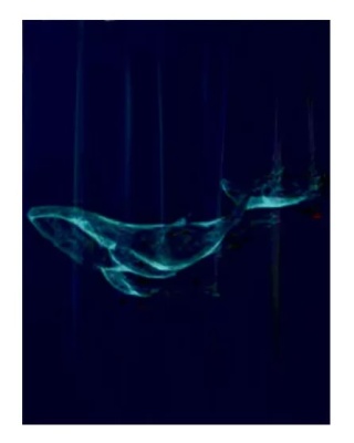 Занавеска для ванны 180х200см Phantom, без колец, Tropikhome